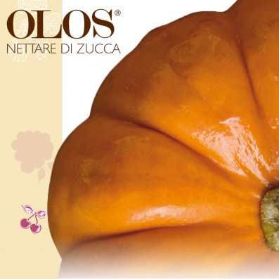 Sebo Normalizza la Pelle Impura Anti Lucido -Olos Nettare di Zucca 